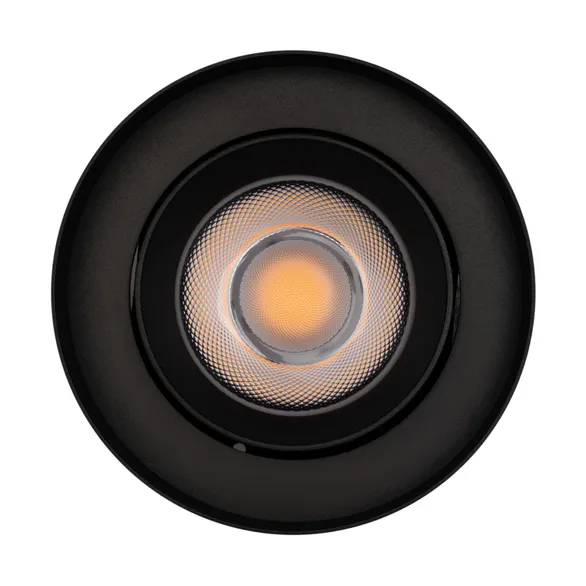 Светильник SP-FOCUS-R132-24W Day4000 (BK, 50 deg, 230V) (Arlight, IP54 Металл, 5 лет)