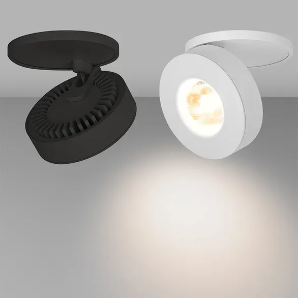 Светильник LGD-MONA-BUILT-R100-12W White5000 (WH, 24 deg) (Arlight, IP40 Металл, 3 года)