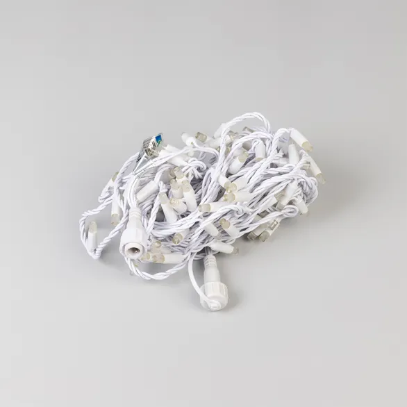 Светодиодная гирлянда ARD-STRING-PRO-10000-WHITE-100LED-LIVE RGB-DMX (24V, 10W) (Ardecoled, IP65)