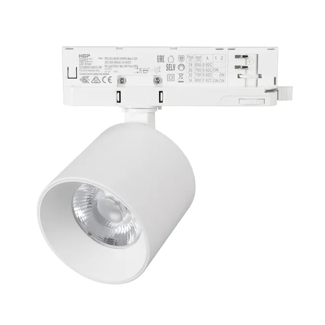 Светильник LGD-DYKE-4TR-R90-26W Day4000 (WH, 50 deg, 230V) (Arlight, IP20 Металл, 5 лет)