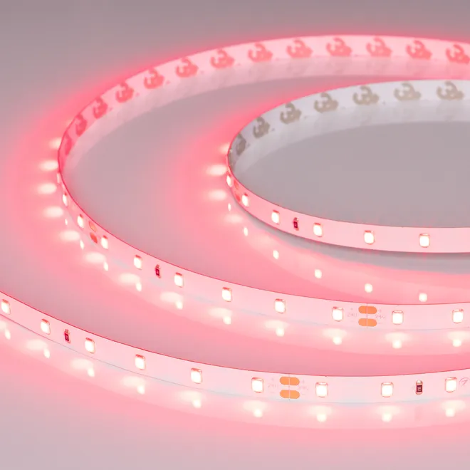 Светодиодная лента RT-A60-8mm 24V Ruby (4.8 W/m, IP20, 5m) (Arlight, -)